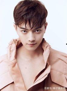 吃瓜娱乐八卦白鹿许凯,吃瓜娱乐八卦中的甜蜜邂逅